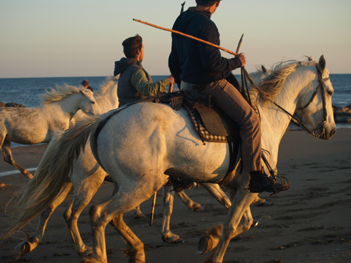 This Camargue gelding is my friend for life! I got to ride him on a two-hour tour of the water fowl refuge and we really bonded. Here he is ridden by one of the guardians participating in the photo shot at the Mediterranean sea.